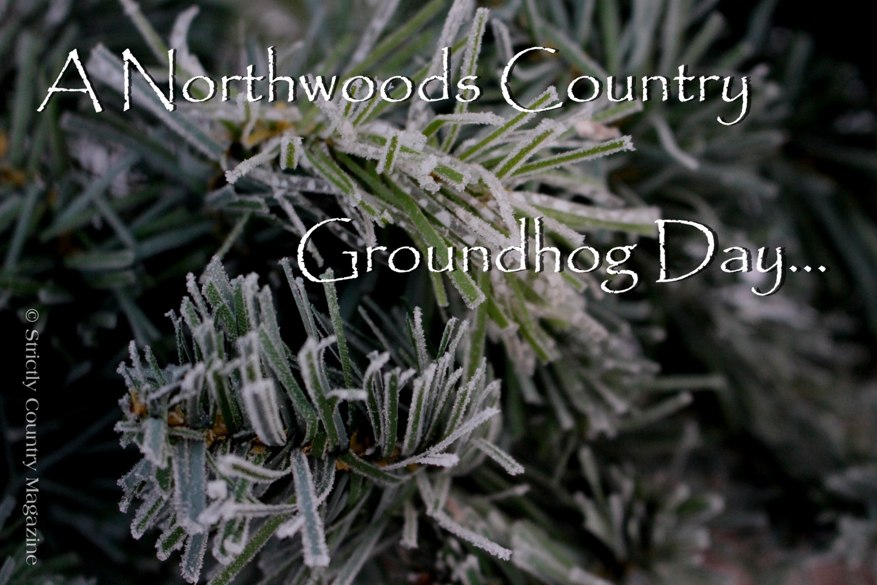 Strictly Country copyright A Northwoods Country Groundhog Day